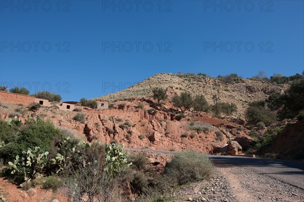 Afrique du nord, Maroc, Marrakech, pied du Haut Atlas, route d'Amizmiz, en direction de Sidi Brahim,