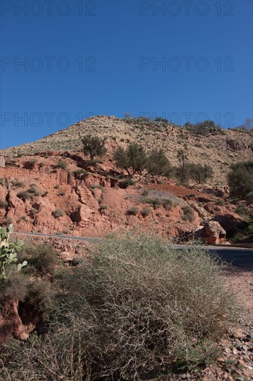 Afrique du nord, Maroc, Marrakech, pied du Haut Atlas, route d'Amizmiz, en direction de Sidi Brahim,