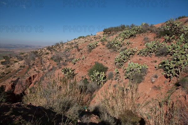 Afrique du nord, Maroc, Marrakech, pied du Haut Atlas, route d'Amizmiz, en direction de Sidi Brahim,