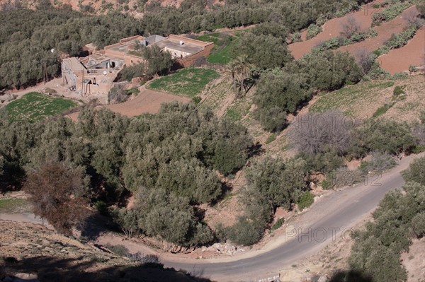 Afrique du nord, Maroc, Marrakech, pied du Haut Atlas, route d'Amizmiz, en direction de Sidi Brahim,