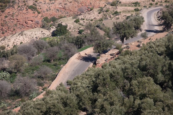 Afrique du nord, Maroc, Marrakech, pied du Haut Atlas, route d'Amizmiz, en direction de Sidi Brahim,