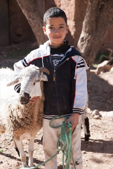 Afrique du nord, Maroc, Marrakech, pied du Haut Atlas, route d'Amizmiz, en direction de Sidi Brahim, jeune berger et ses moutons