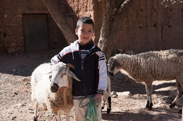 Afrique du nord, Maroc, Marrakech, pied du Haut Atlas, route d'Amizmiz, en direction de Sidi Brahim, jeune berger et ses moutons