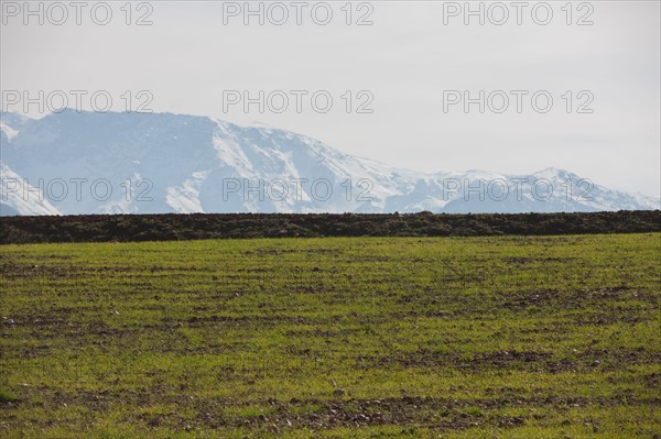 Afrique du nord, Maroc, Marrakech, pied du Haut Atlas, route d'Amizmiz, en direction de Sidi Brahim,