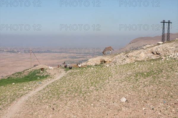 Marrakech,  pied du Haut Atlas