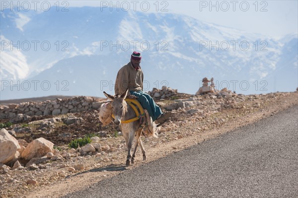 Afrique du nord, Maroc, Marrakech, pied du Haut Atlas, route d'Amizmiz, en direction de Sidi Brahim, paysan chevauchant un âne,