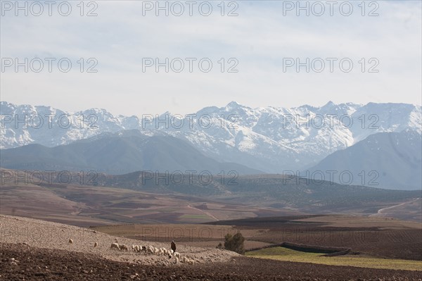 Afrique du nord, Maroc, Marrakech, pied du Haut Atlas, route d'Amizmiz, en direction de Sidi Brahim,