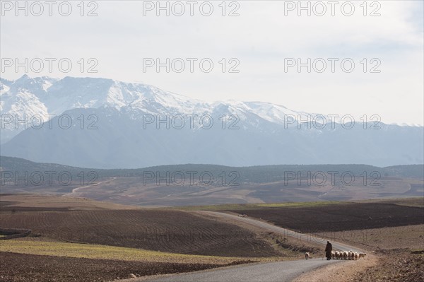 Marrakech,  pied du Haut Atlas