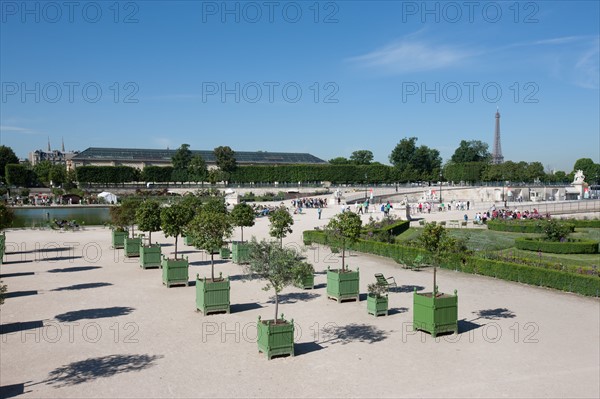 Jardin Des Tuileries