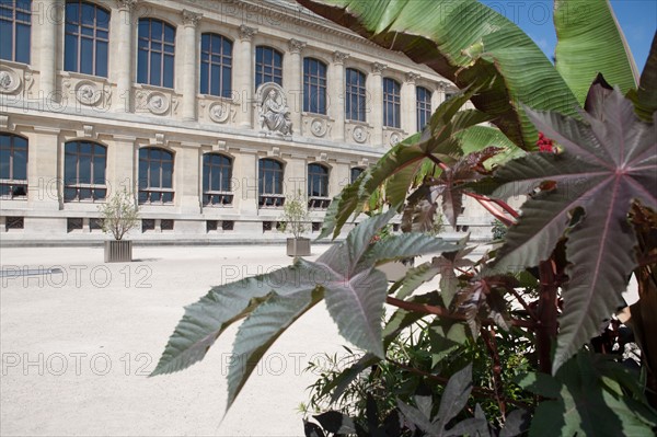 Jardin Des Plantes, Grand Egalerie