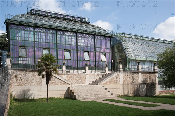 Jardin Des Plantes, greenhouse