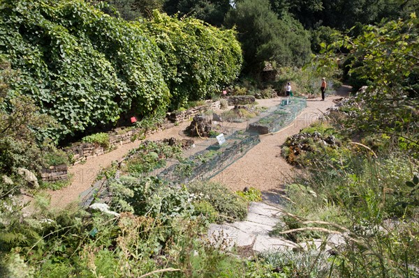 Jardin Des Plantes,