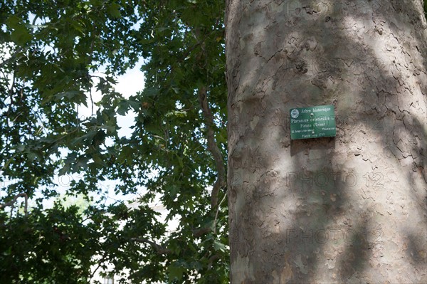 Jardin Des Plantes,