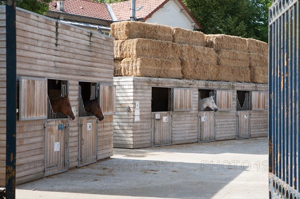 Bois De Vincennes, Centre Equestre De La Cartoucherie