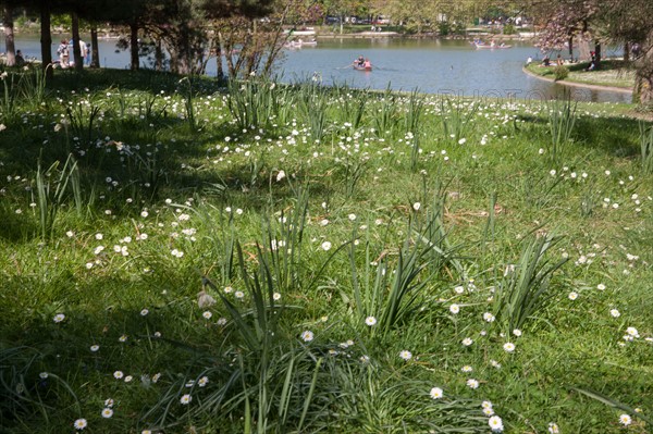 Bois De Vincennes, Lac Daumesnil