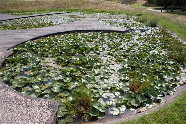 Bois De Vincennes, Parc Floral De Paris