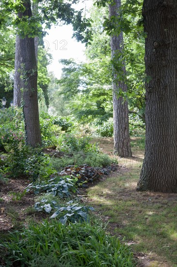 Bois De Vincennes, Parc Floral De Paris