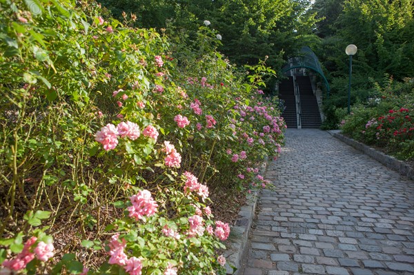 Parc De Belleville, jardin