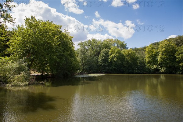 Forêt De Meudon, bois et nature autour de L'étang de Trivaux