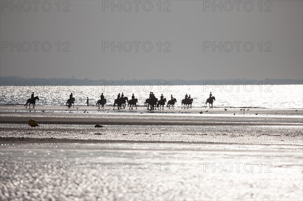 Cabourg, Plage