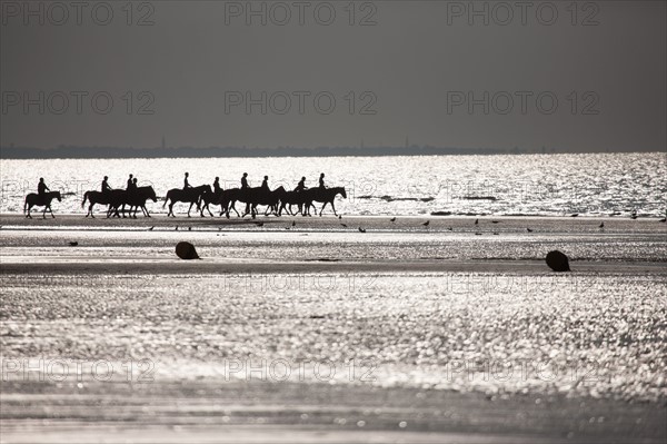 Cabourg, Plage