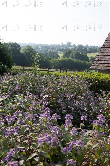 Touques, Chemin De La Coquetiere