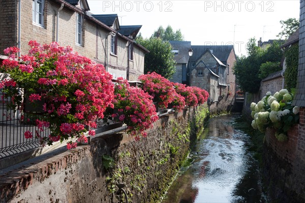 Touques, Ruisseau Des Ouies