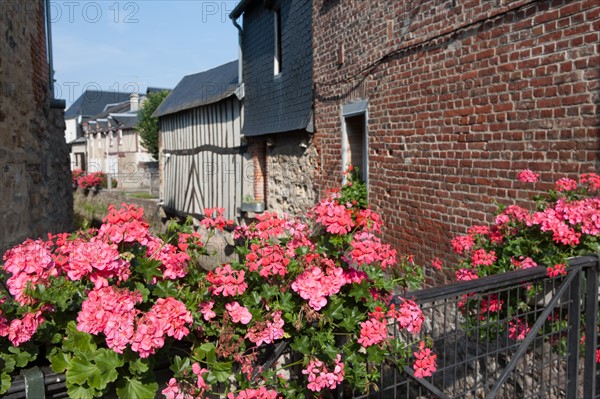 Touques, Ruisseau Des Ouies