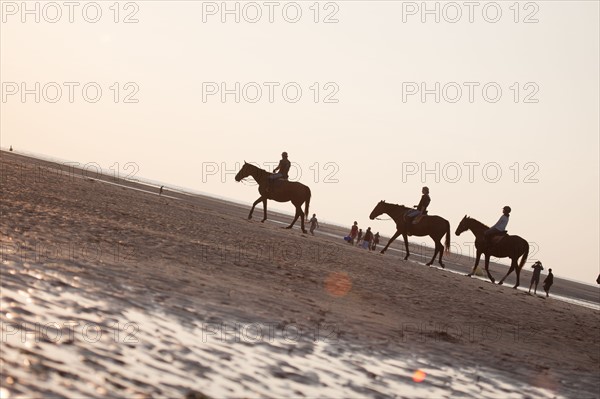 Houlgate, Plage