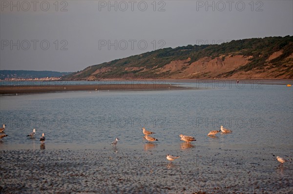 Houlgate, Plage