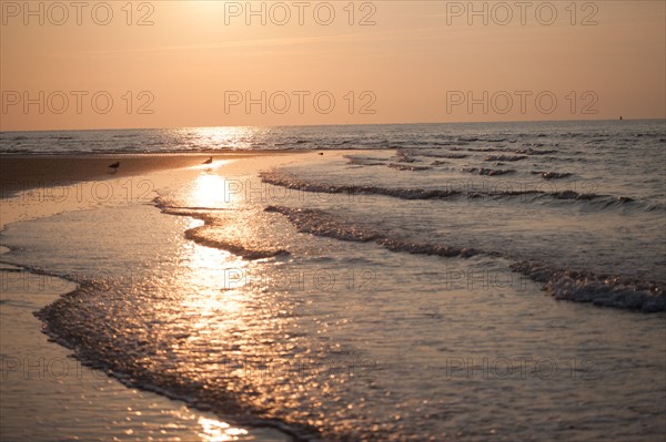 Houlgate, Plage