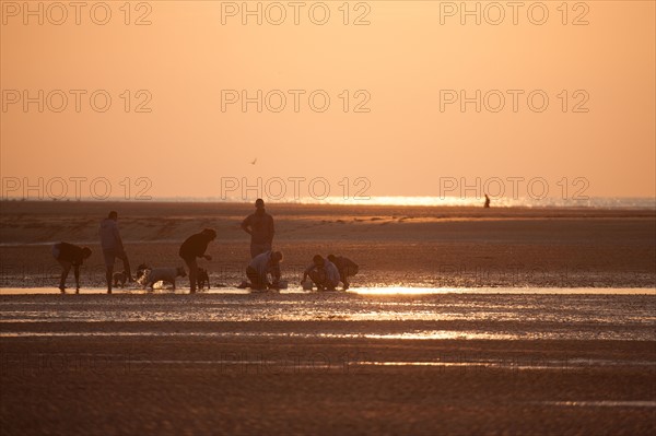 Houlgate, Plage