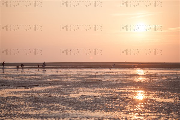 Houlgate, Plage