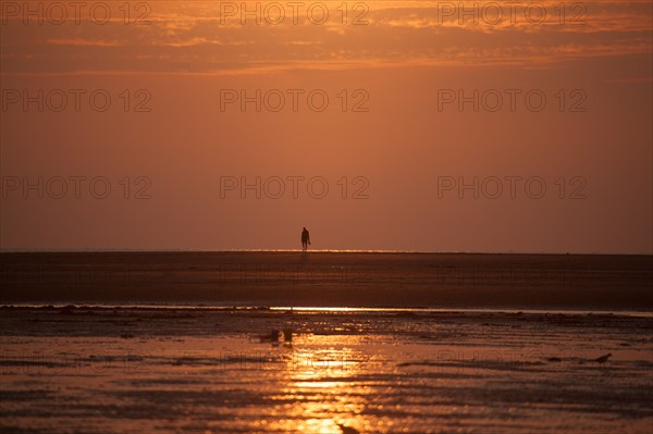 Houlgate, Plage