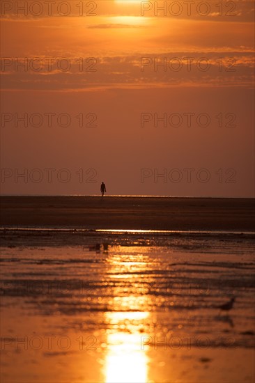 Houlgate, Plage