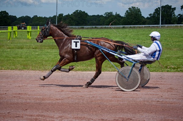 Lisieux, Hippodrome de la Trésorerie