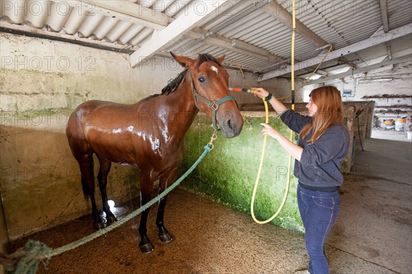 Haras De Pitz, Ecurie Danover