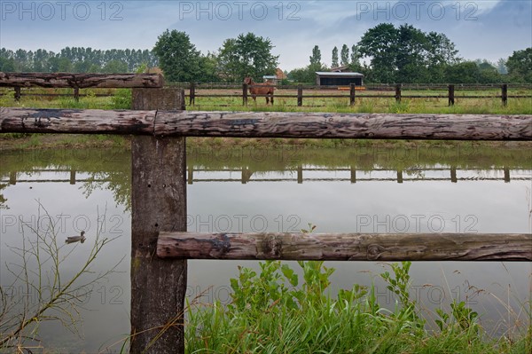 Haras De Pitz, Ecurie Danover