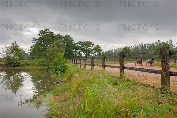 Haras De Pitz, Ecurie Danover