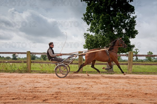 Haras De Pitz, Ecurie Danover