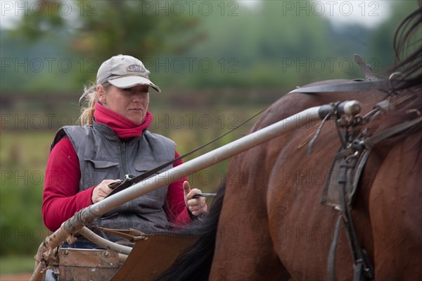 Haras De Pitz, Ecurie Danover