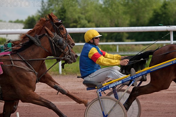 Lisieux, Hippodrome de la Trésorerie