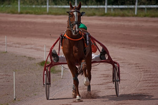 Lisieux, Hippodrome de la Trésorerie