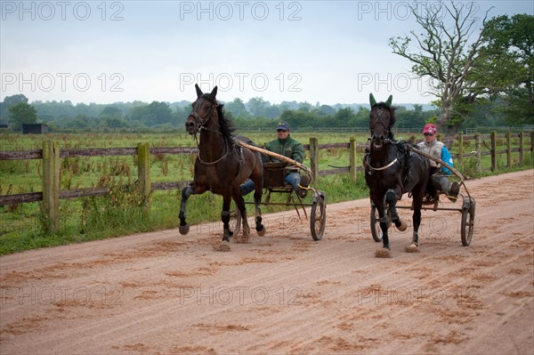 Haras De Pitz, Ecurie Danover