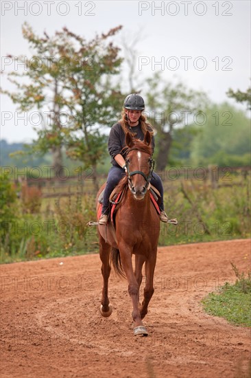 Haras De Pitz, Ecurie Danover