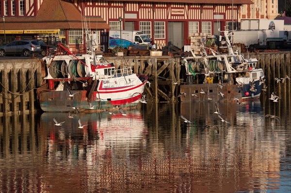 Cote Fleurie, Trouville Sur Mer