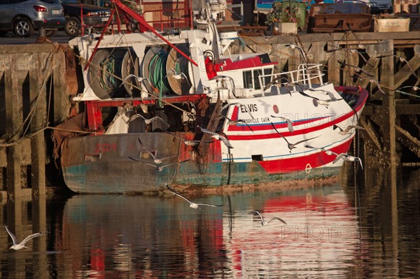 Cote Fleurie, Trouville Sur Mer