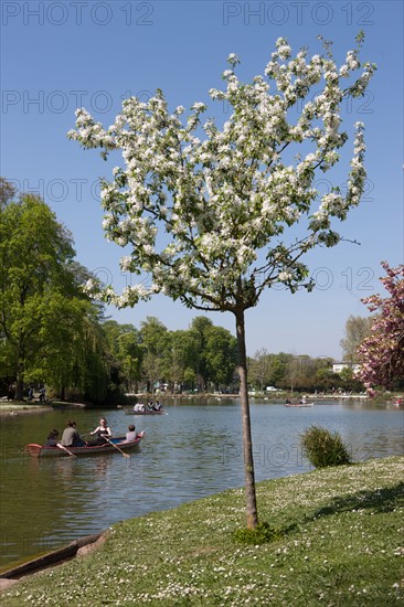 Bois De Vincennes, Lac Daumesnil