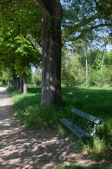 Bois De Vincennes, Allee