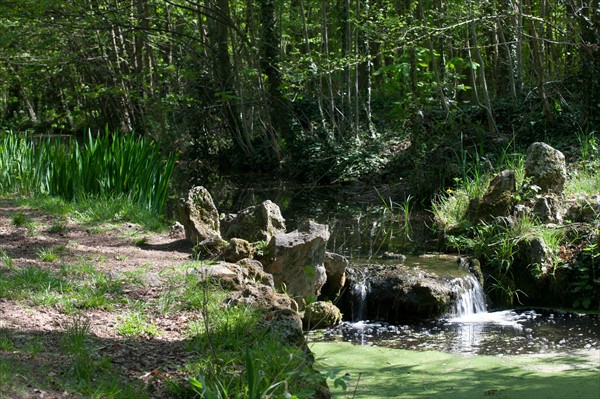 Bois De Vincennes, Allee